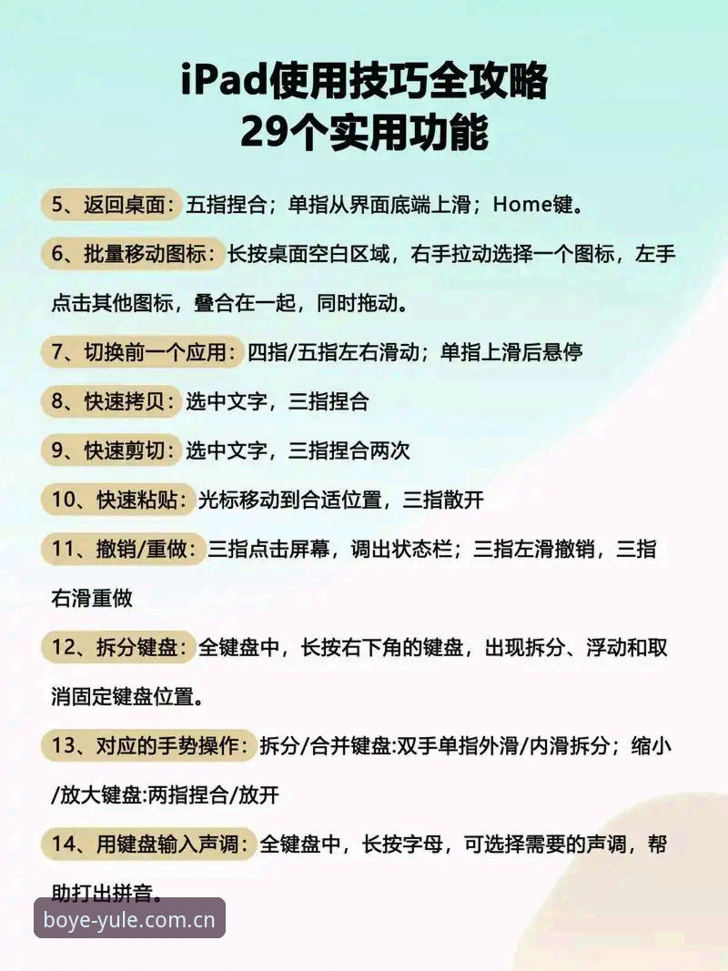 为什么博业体育平台的官方App教程是高效入门的必备指南？